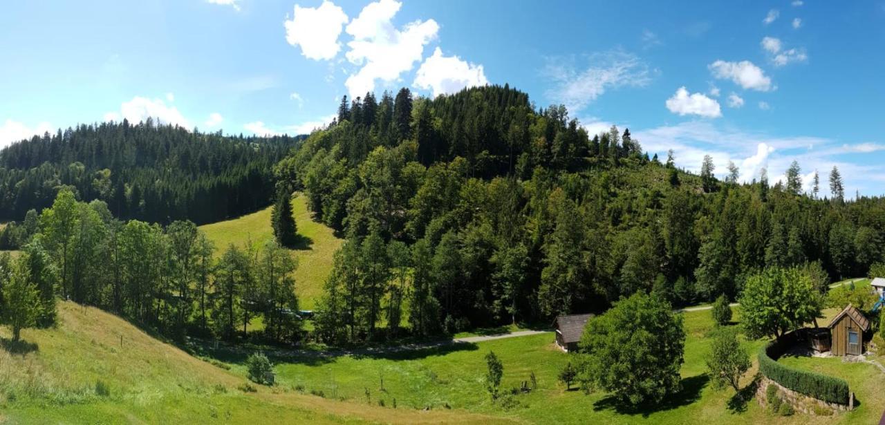 Ferienwohnung Tonbachtal Байрсброн Экстерьер фото
